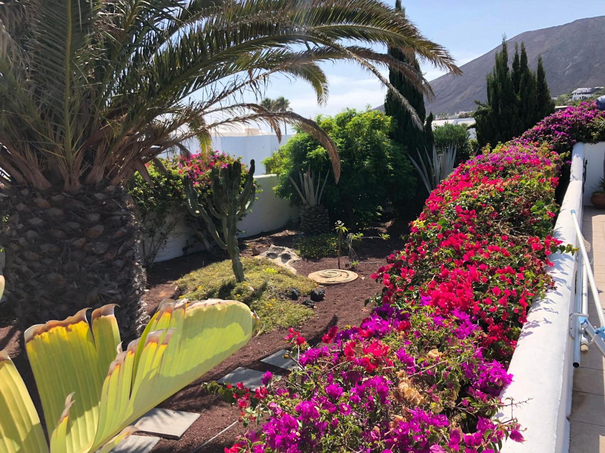 Villa Coco - Play Blanca - Lanzarote Коста Бланка Экстерьер фото